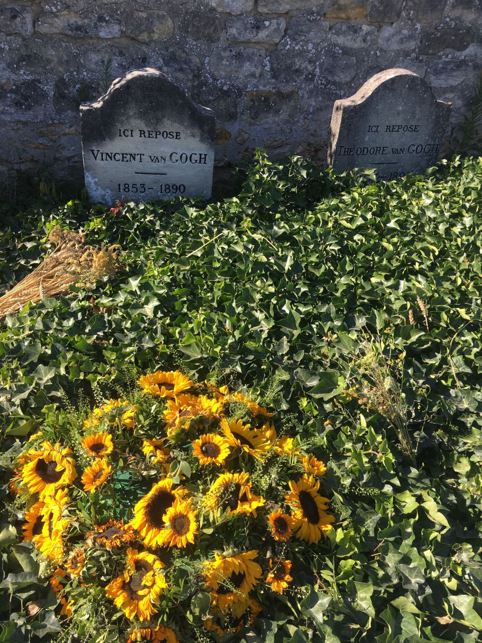 sunflowers cemetery vincent and theo van gogh auvers sur oise