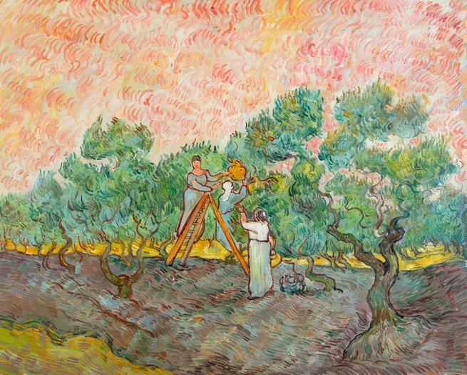 Women Picking Olives Van Gogh reproduction | Van Gogh Studio